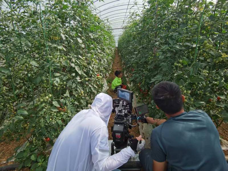 矿区产品宣传视频拍摄公司进阶指南，助力品牌抢占传播高地